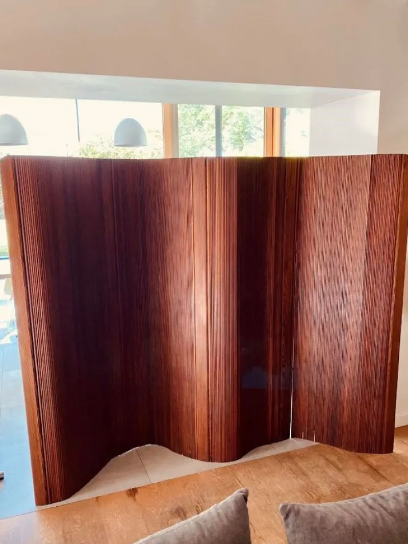 Best Pamono Wall Divider from Baumann, 1950s