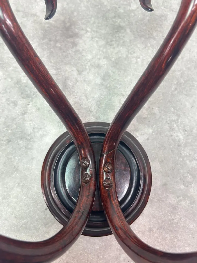 Clearance Pamono Wall Rack from Thonet, 1890s