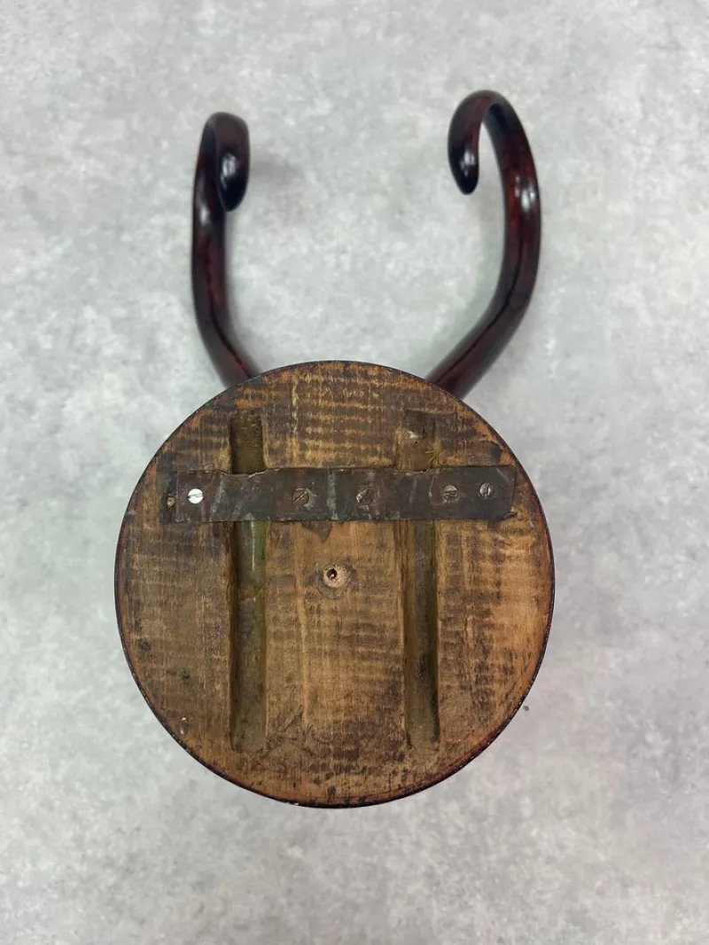 Clearance Pamono Wall Rack from Thonet, 1890s
