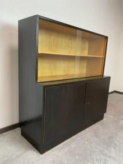 Hot Pamono Wall Units by Jindřich Halabala for Up Závody, 1930s, Set of 2