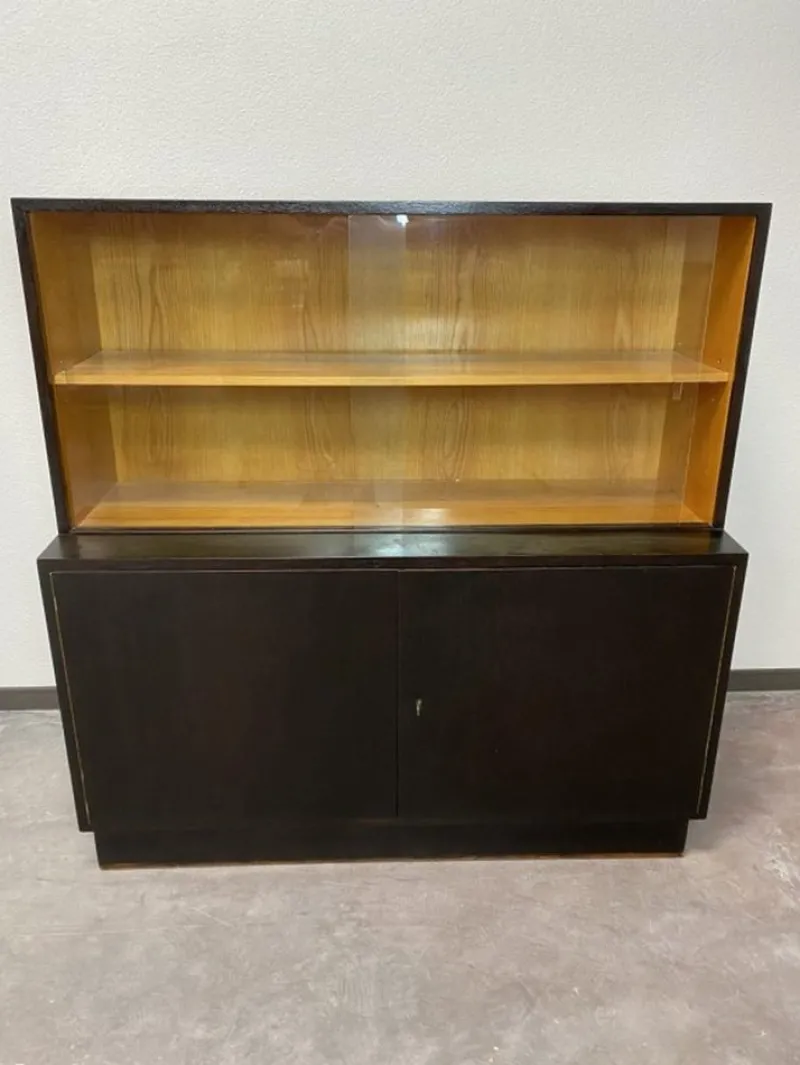 Hot Pamono Wall Units by Jindřich Halabala for Up Závody, 1930s, Set of 2