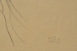 Outlet Pamono Walter Sauer, Murasaki, Signed Engraving