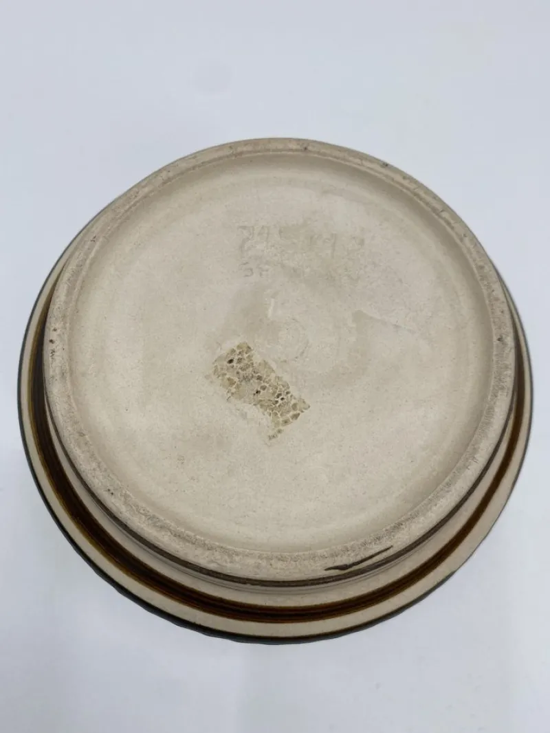 Hot Pamono West German Ceramic Flower Pot, 1950s