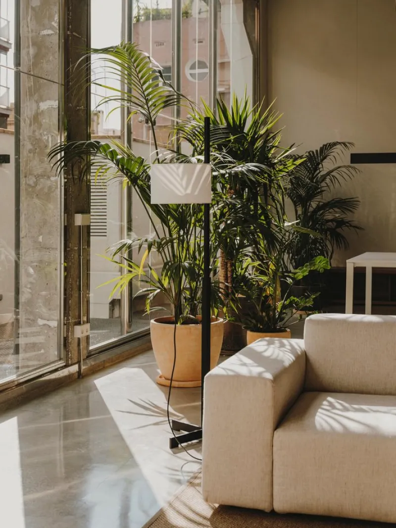 New Pamono White and Black Oak TMM Floor Lamp by Miguel Milá
