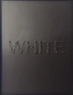 Pamono WHITE? Artwork by Giuseppe Castellano for GC Light Italia, 2024> Decorative Objects