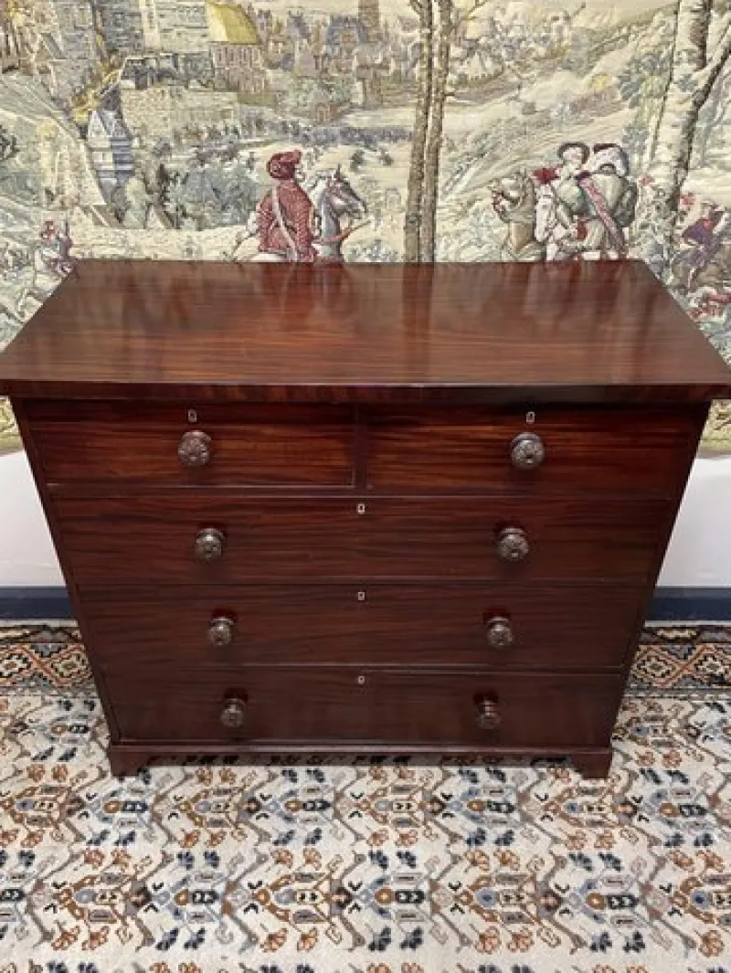 Discount Pamono William IV Mahogany Chest of Drawers, 1800s