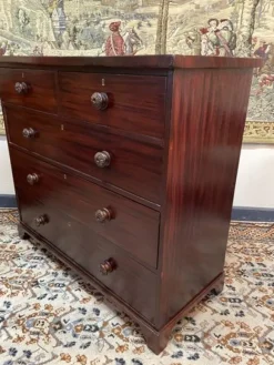 Discount Pamono William IV Mahogany Chest of Drawers, 1800s