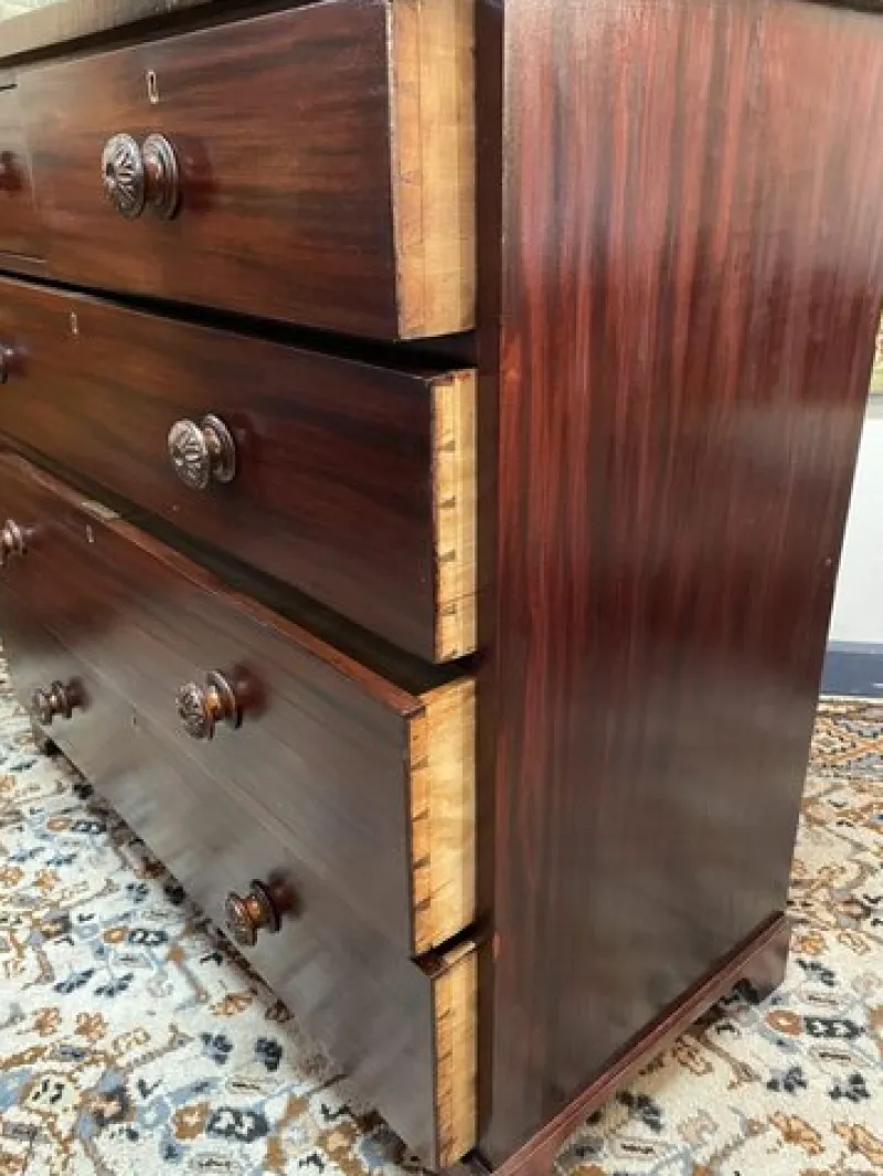 Discount Pamono William IV Mahogany Chest of Drawers, 1800s