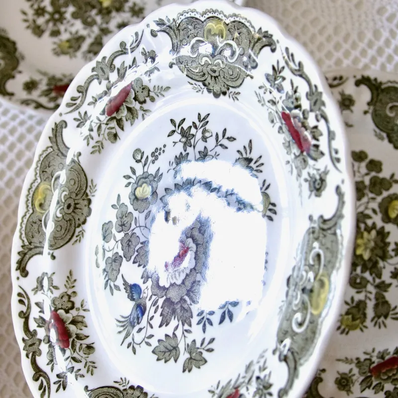 Discount Pamono Windsor Staffordshire Polychrome Plates from Ridgway, 1970s, Set of 10