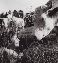 Online Pamono Woman and Cow, 1955, Original Vintage Black & White Photograph
