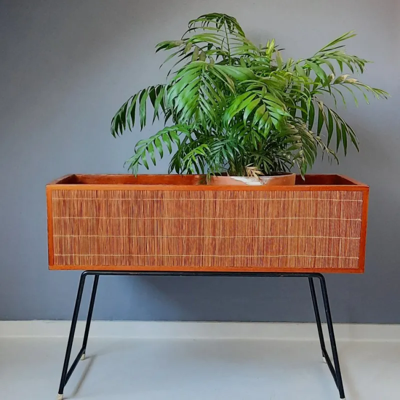 Pamono Wood and Rattan Planter, 1960s> Planters And Jardiniere