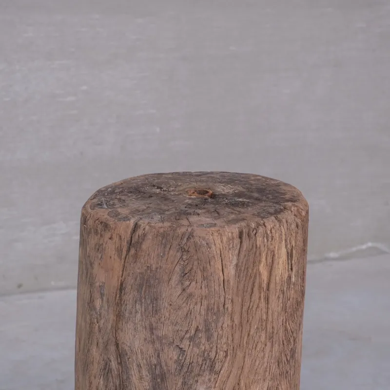 Online Pamono Wooden Tree Trunk Display Stand