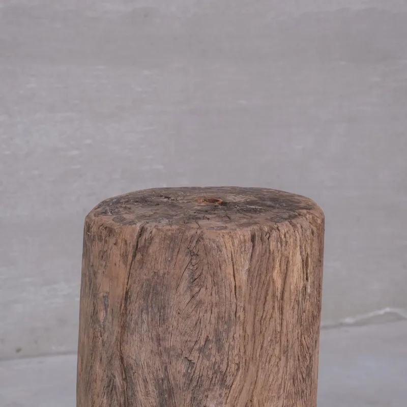 Online Pamono Wooden Tree Trunk Display Stand