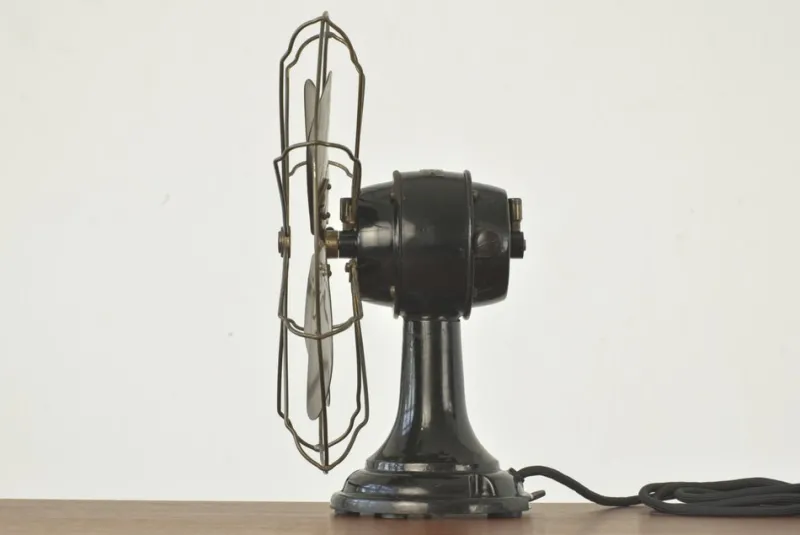 Pamono Wt 22 Table Fan by Peter Behrens for Aeg, Germany, 1909> Electronics
