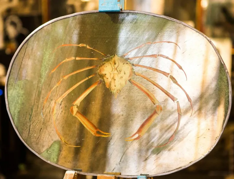 Pamono Yellow Crab Mirror from Unique Mirrors> Decorative Objects